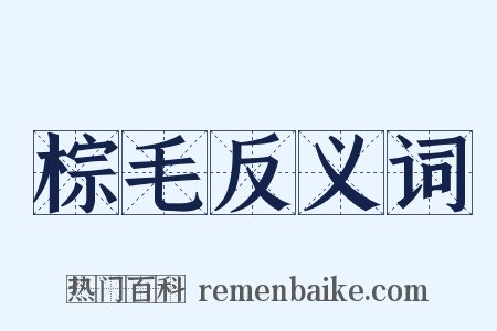 棕毛反义词是什么意思的图片